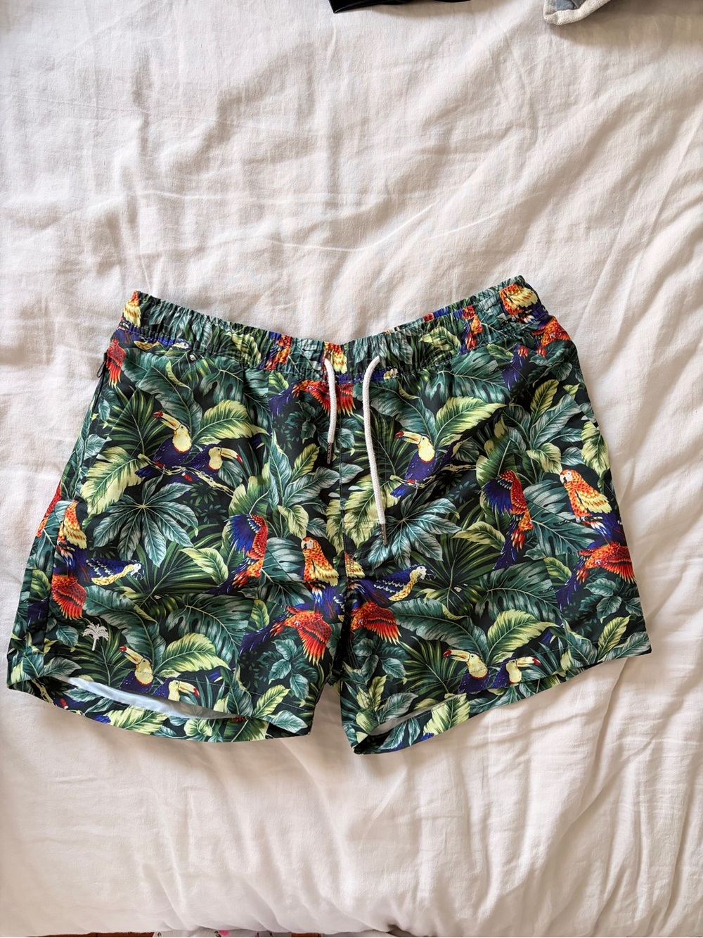 OAS Men's Tropical Parrot Print Swim Trunks